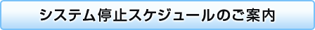 VXe~XPW[̂ē